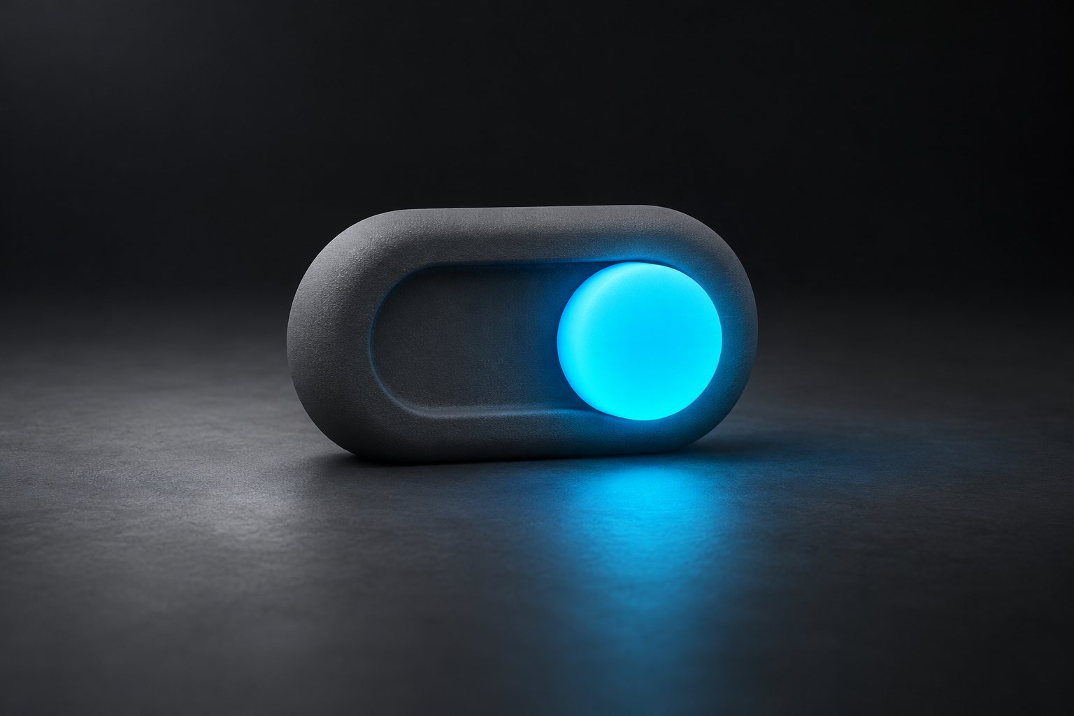 A large grey toggle switch with a blue knob.